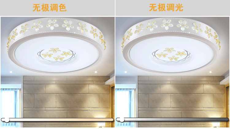 朗吉蒂led吸顶灯卧室灯客厅灯餐厅灯现代简约调光遥控灯具灯饰 42CM单色白光24W