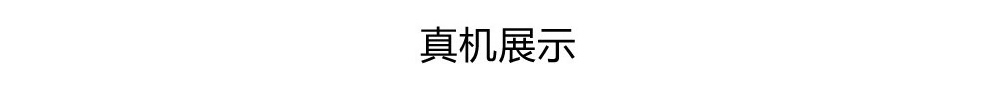 波导 D719 移动联通2G老人手机 双卡双待 黑