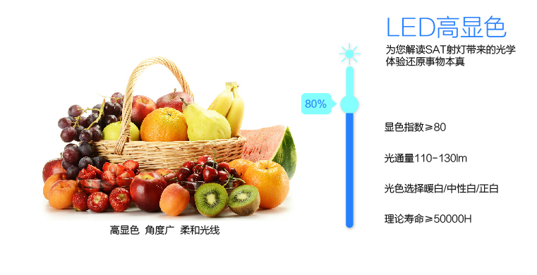 SAT照明活之彩系列一体化压铸LED筒灯过道办公室学校商场基础照明 开孔9cm 6W 凹面 银色 4000K暖白光