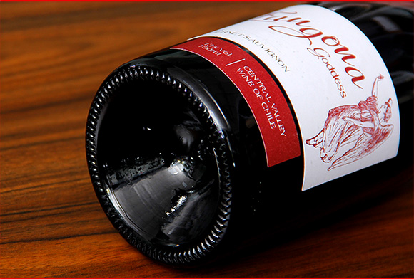 原瓶原装进口 智利 红酒安歌娜女神干红葡萄酒