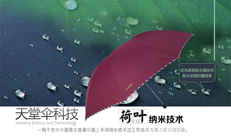 
                                                            天堂伞 十骨钢骨商务晴雨伞 三折雨伞太阳伞  广告伞可定制印刷印字企业logo 双人款-3311E碰-黑色                