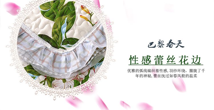 依米花家纺  沙发垫布艺四季通用真皮沙发垫 韩版蕾丝双面坐垫防滑贵妃垫 拜城日记 韩版花边55*55cm靠垫套