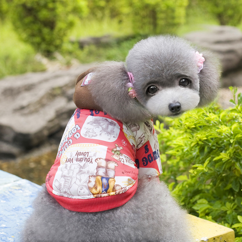 Pets allowed for autumn and winter clothing replacing dog clothes pet four corners trousers travel equipment apparel color random stars cap yellow Xiong S picture, prices, brand platters! The elections are supplied in the national character of distribution, so action, buy now enjoy more preferential! As soon as possible.