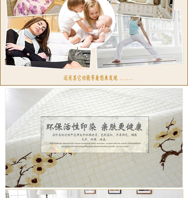 
                                        沁泰全棉沙发垫四季沙发套装防滑沙发坐垫椅垫 一枝独秀 70*70cm单条                