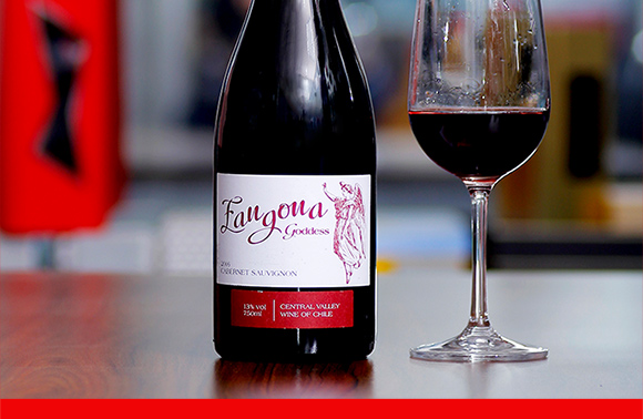 原瓶原装进口 智利 红酒安歌娜女神干红葡萄酒