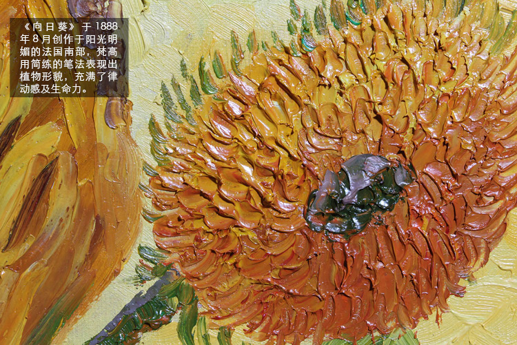 
                                        梵高 向日葵 纯手绘油画 客厅卧室玄关书房装饰画欧式花卉墙画壁画 C款-有框画 60X80cm-画芯尺寸                