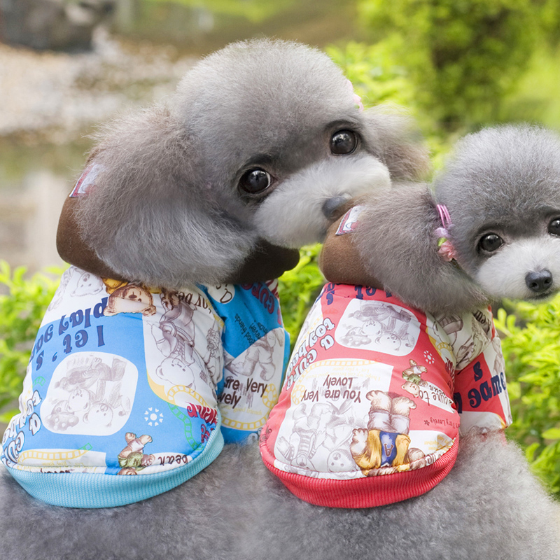 Pets allowed for autumn and winter clothing replacing dog clothes pet four corners trousers travel equipment apparel color random stars cap yellow Xiong S picture, prices, brand platters! The elections are supplied in the national character of distribution, so action, buy now enjoy more preferential! As soon as possible.