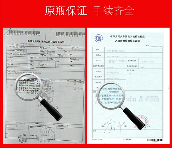 原瓶原装进口 智利 红酒安歌娜女神干红葡萄酒