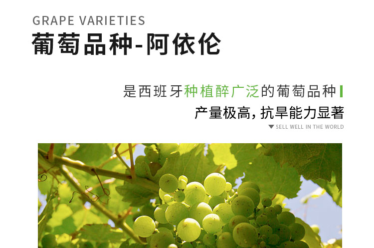 西班牙斗牛干白葡萄酒 单支装