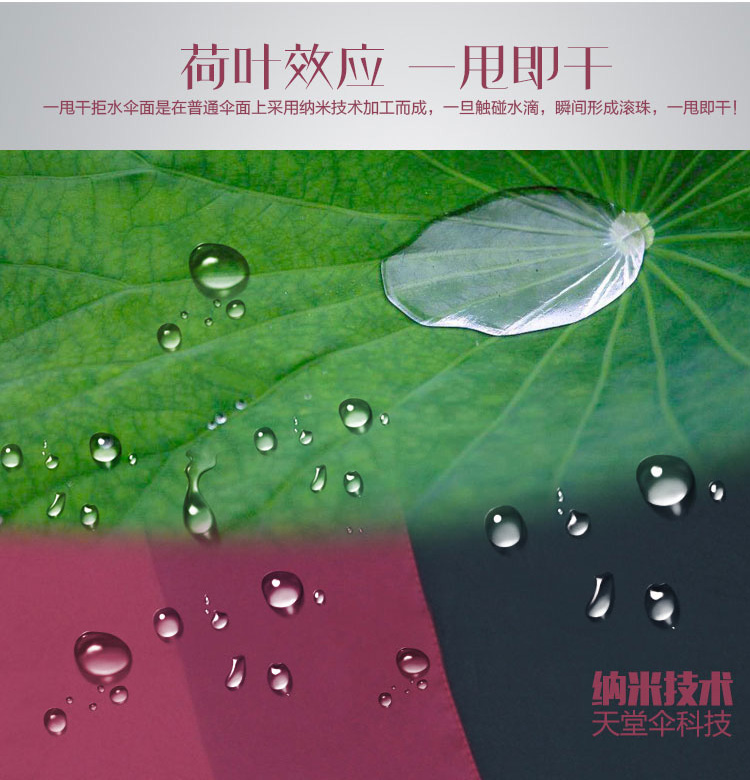 
                                                            天堂伞 十骨钢骨商务晴雨伞 三折雨伞太阳伞  广告伞可定制印刷印字企业logo 双人款-3311E碰-黑色                