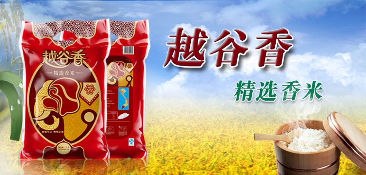 越谷香越南精选香米5kg怎么样?京东商城的价