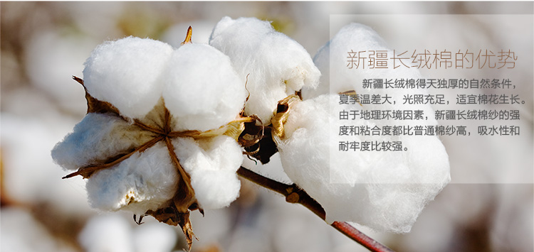 
                                                                                尼的生活纯棉地垫门垫入户大脚垫浴室防滑吸水地巾卧室地毯 米色方格                
