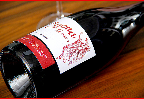 原瓶原装进口 智利 红酒安歌娜女神干红葡萄酒