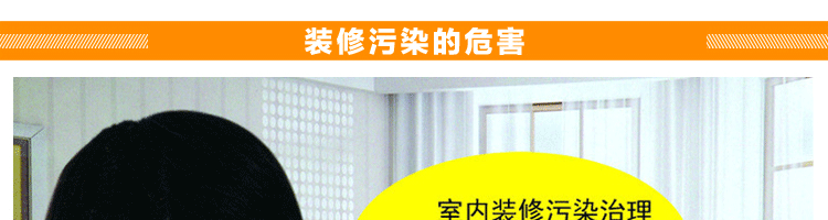 
                                        绿房子 室内甲醛清除剂 装修除味除甲醛活性炭彩虹碳包 5000克净化120平米                