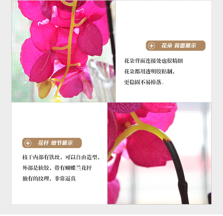 
                                        畅宁 高仿真花蝴蝶兰 5束（不含瓶）假花绢花 家居装饰 客厅摆件 (紫色) 纯色                