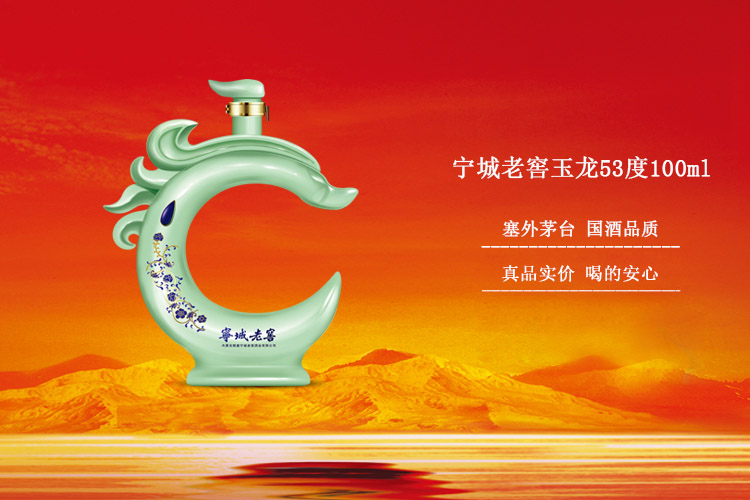 宁城老窖玉龙53度100ml 单瓶_历史最低价格_