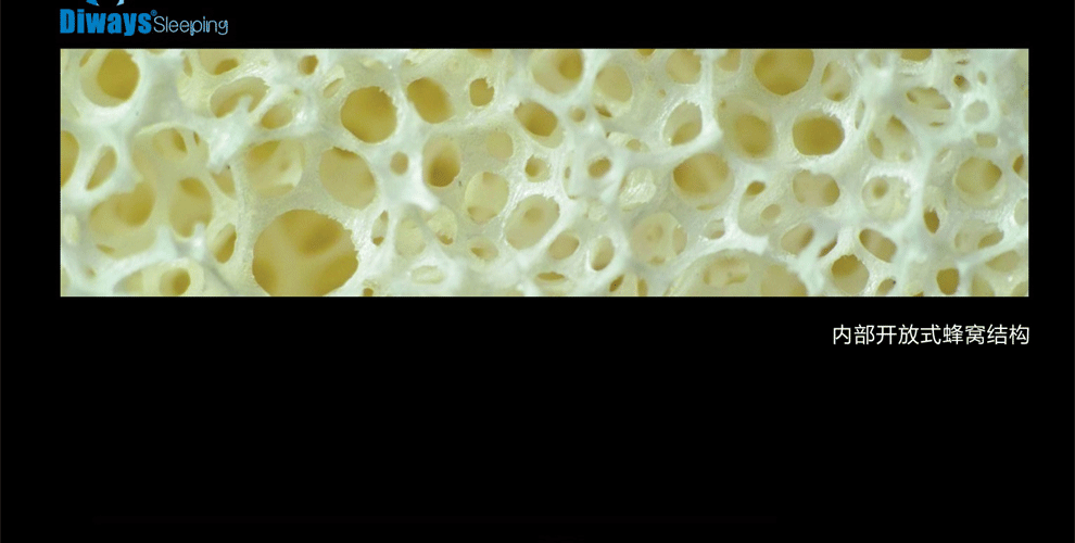
                                                            DIWAYS迪维思 泰国乳胶枕天然橡胶枕颈椎枕护颈枕酒店睡眠单人枕头透气枕芯 【经典款】含天丝外套 60*40*12/10CM                