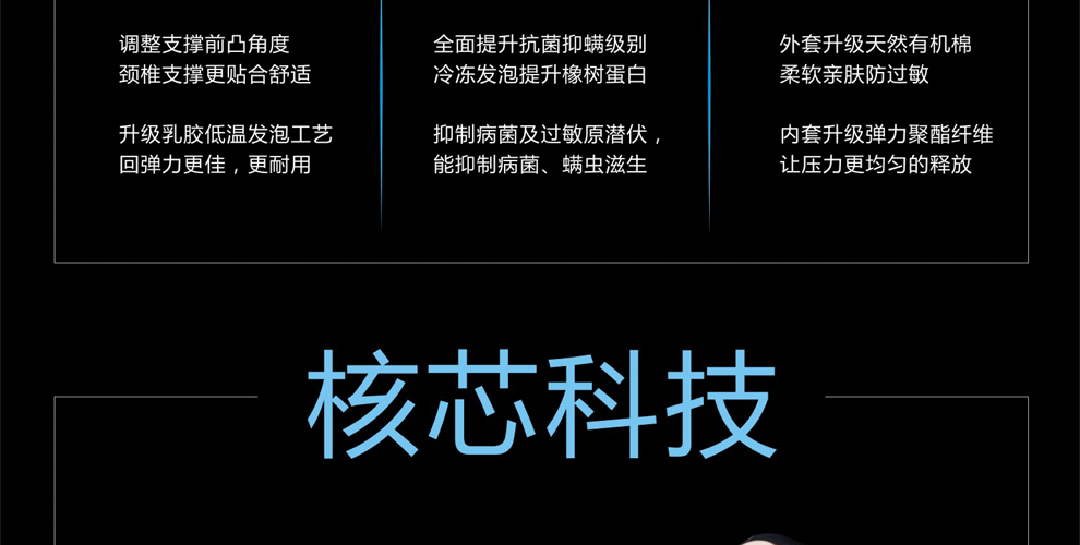 
                                                            DIWAYS迪维思 泰国乳胶枕天然橡胶枕颈椎枕护颈枕酒店睡眠单人枕头透气枕芯 【经典款】含天丝外套 60*40*12/10CM                