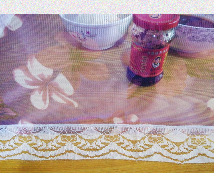 
                                        馨颜 蕾丝折叠餐桌罩食物罩20寸大号长方形饭菜罩防蝇罩 图片色                
