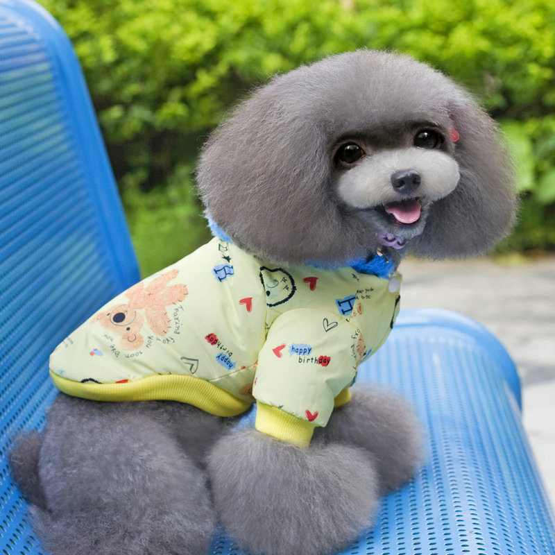 Pets allowed for autumn and winter clothing replacing dog clothes pet four corners trousers travel equipment apparel color random stars cap yellow Xiong S picture, prices, brand platters! The elections are supplied in the national character of distribution, so action, buy now enjoy more preferential! As soon as possible.