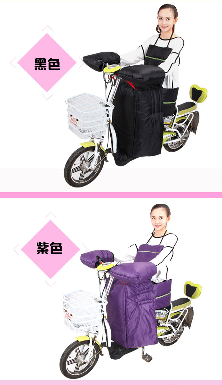 怡爽电动车挡风被反光条可拆卸护腰冬季加厚保暖防水踏板电瓶车摩托车护膝套装 反光条护腰紫色挡风被套装