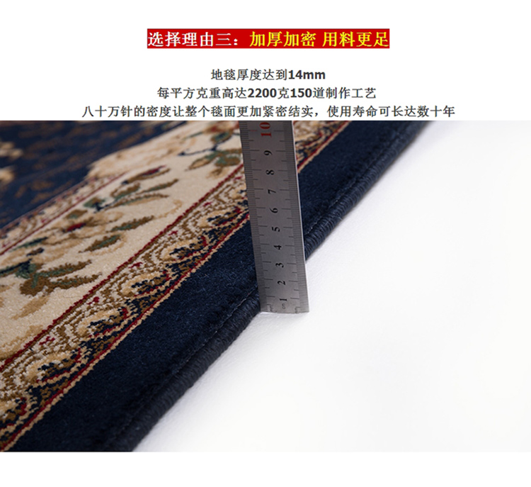 KAILI地毯 客厅茶几地垫 卧室满铺床边毯 简约时尚风格 5301BE 80x120cm