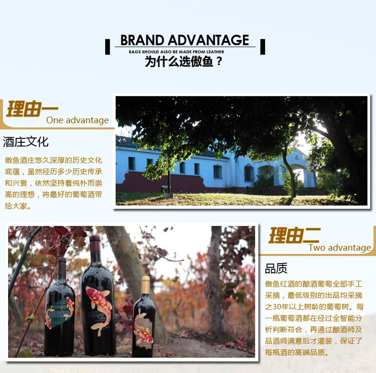 智利原装进口红酒 傲鱼顶级家族至尊窖藏红葡