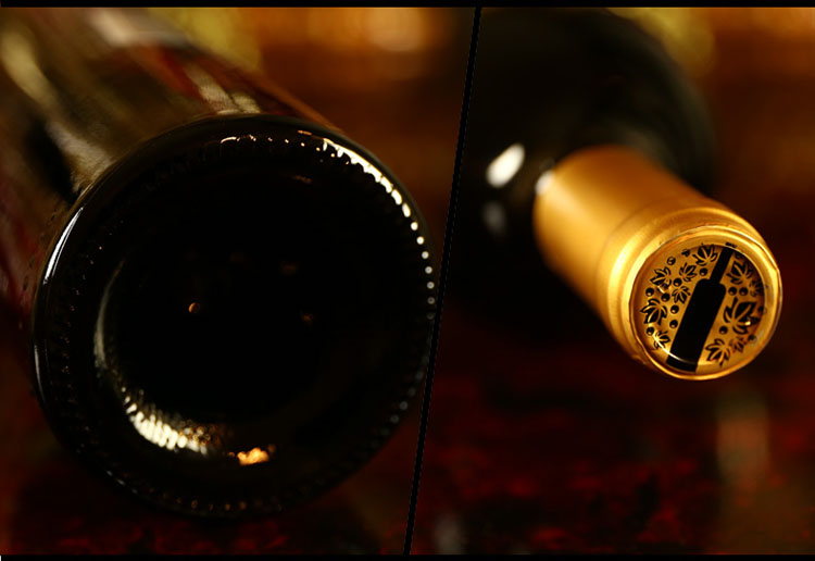 智利进口红酒 傲鱼特级至尊窖藏品丽珠干红葡