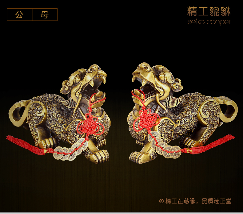 
                                                                                慈缘正堂 黄铜貔貅摆件朋友送礼  装饰品铜工艺品摆件 开业礼品  中式客厅桌面皮丘复古 貔貅宝字 右脚一只  长26cm                