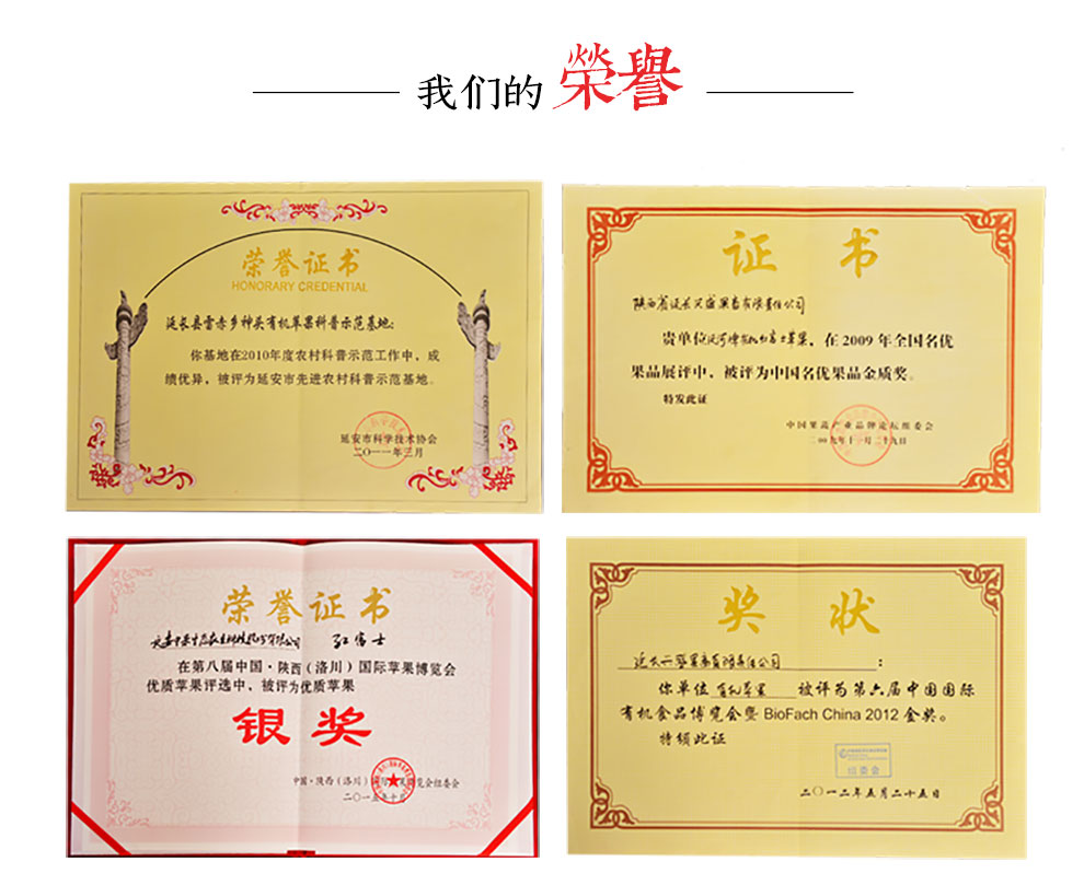 洛川有机苹果礼盒 团购 - 京东团购全国站