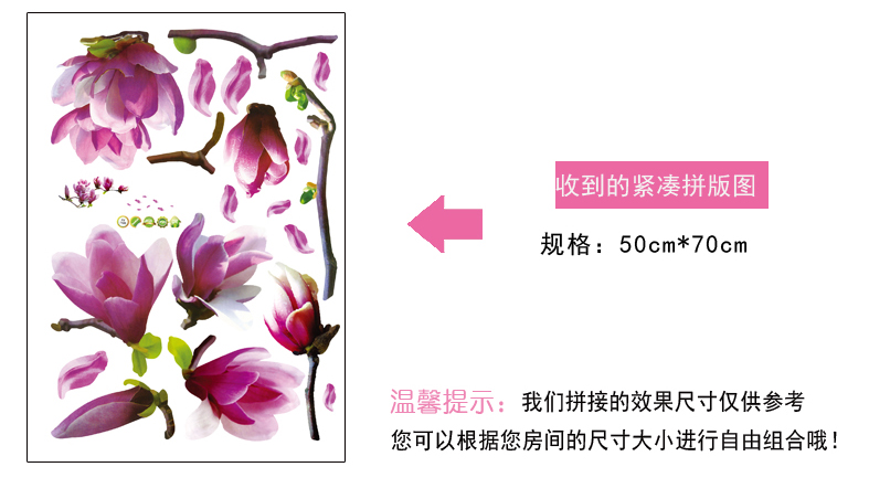 豆豆窝 客厅浪漫墙贴画 可移除贴纸 AY7105 玉兰花  50*70cm