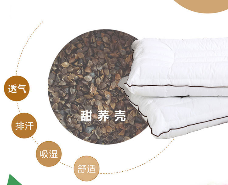 
                                        多喜爱家纺 安逸荞麦枕头 长方形单人双面枕芯/枕头 48*74cm                