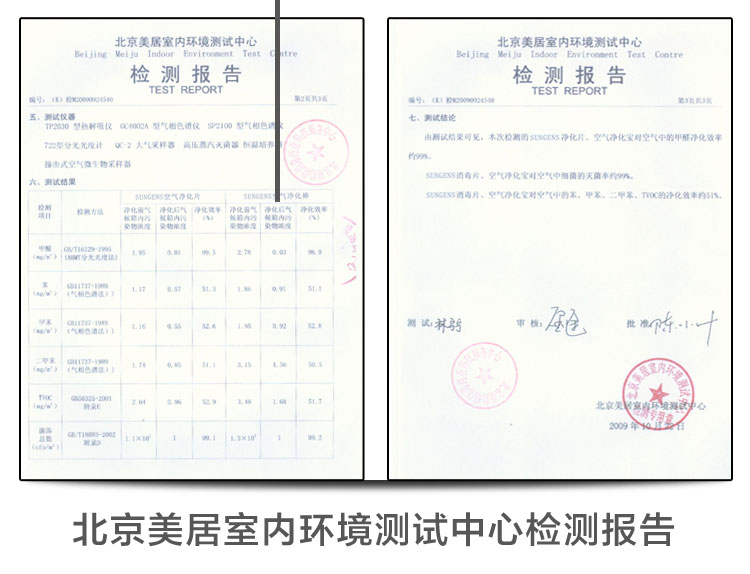 SUNGENS净化去味棒 新房装修除甲醛 汽车净味去除烟味甲醛 冰箱杀菌除异味鞋柜衣柜去味 缓释棒3支+速释棒3支