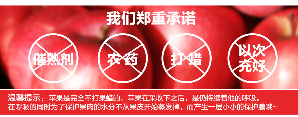 洛川有机苹果礼盒 团购 - 京东团购全国站
