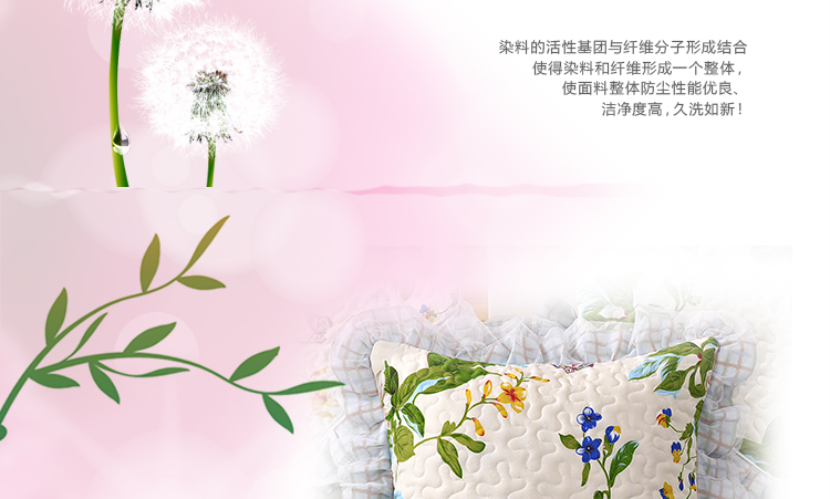 依米花家纺  沙发垫布艺四季通用真皮沙发垫 韩版蕾丝双面坐垫防滑贵妃垫 拜城日记 韩版花边55*55cm靠垫套