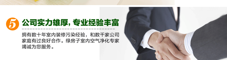 
                                        绿房子 室内甲醛清除剂 装修除味除甲醛活性炭彩虹碳包 5000克净化120平米                