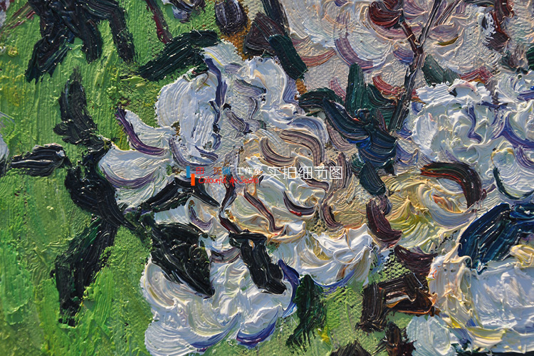 梵高 瓶子中的玫瑰花 手绘油画欧式花卉静物有框画 名画玄关卧室 印象斑斓 有框画-A款 50X60cm-画芯尺寸