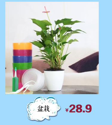 锦枫 )塑料水管 自来水管 浇花软管 蛇皮管 水管