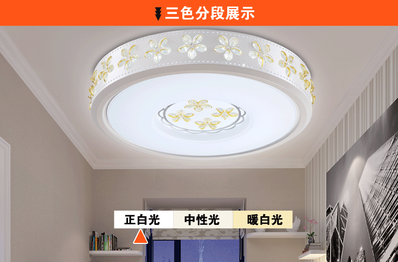 朗吉蒂led吸顶灯卧室灯客厅灯餐厅灯现代简约调光遥控灯具灯饰 42CM单色白光24W