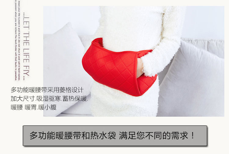 泉力电热水袋暖腰带暖宫暖腰宝防爆充电暖水袋暖手宝充水电暖宝宝护腰带热宝已注水 双插手-咖啡色