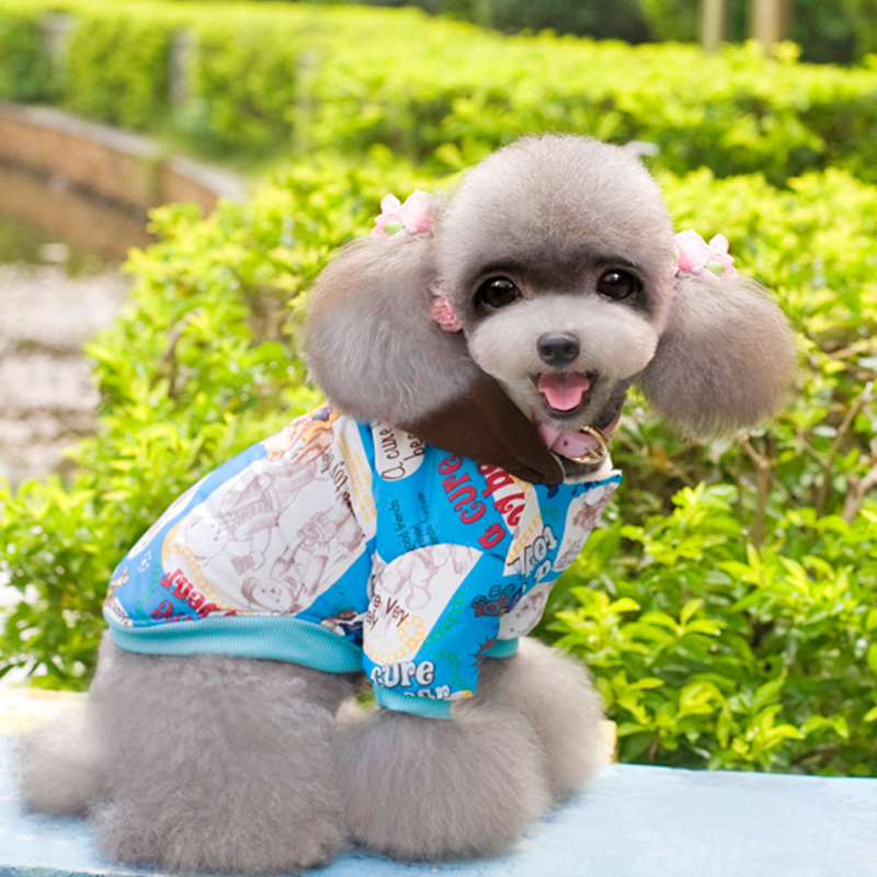Pets allowed for autumn and winter clothing replacing dog clothes pet four corners trousers travel equipment apparel color random stars cap yellow Xiong S picture, prices, brand platters! The elections are supplied in the national character of distribution, so action, buy now enjoy more preferential! As soon as possible.