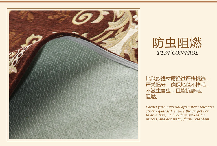 
                                        DMF 欧式入户地垫门垫脚垫 进门垫入户门口地垫防滑垫定制 165咖啡色 400MMx600MM                