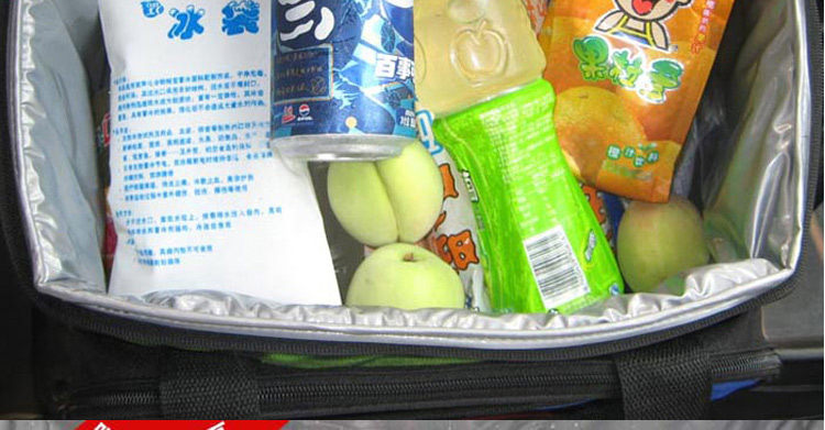 
                                        雪格尔保温包加厚送餐包外卖保温箱冰包冰袋快餐包保温袋 蓝绿色+6个冰袋+包邮                
