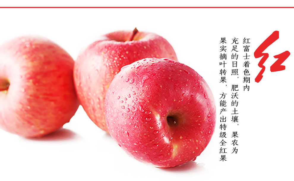 洛川有机苹果礼盒 团购 - 京东团购全国站