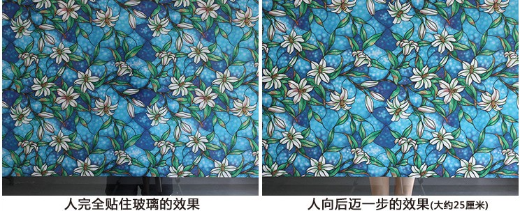 莱恩斯玻璃贴膜窗贴玻璃贴纸磨砂玻璃纸透光不透明玻璃窗贴膜卫生间玻璃膜磨砂膜无胶静电窗户贴纸 0.6米宽1米长百合