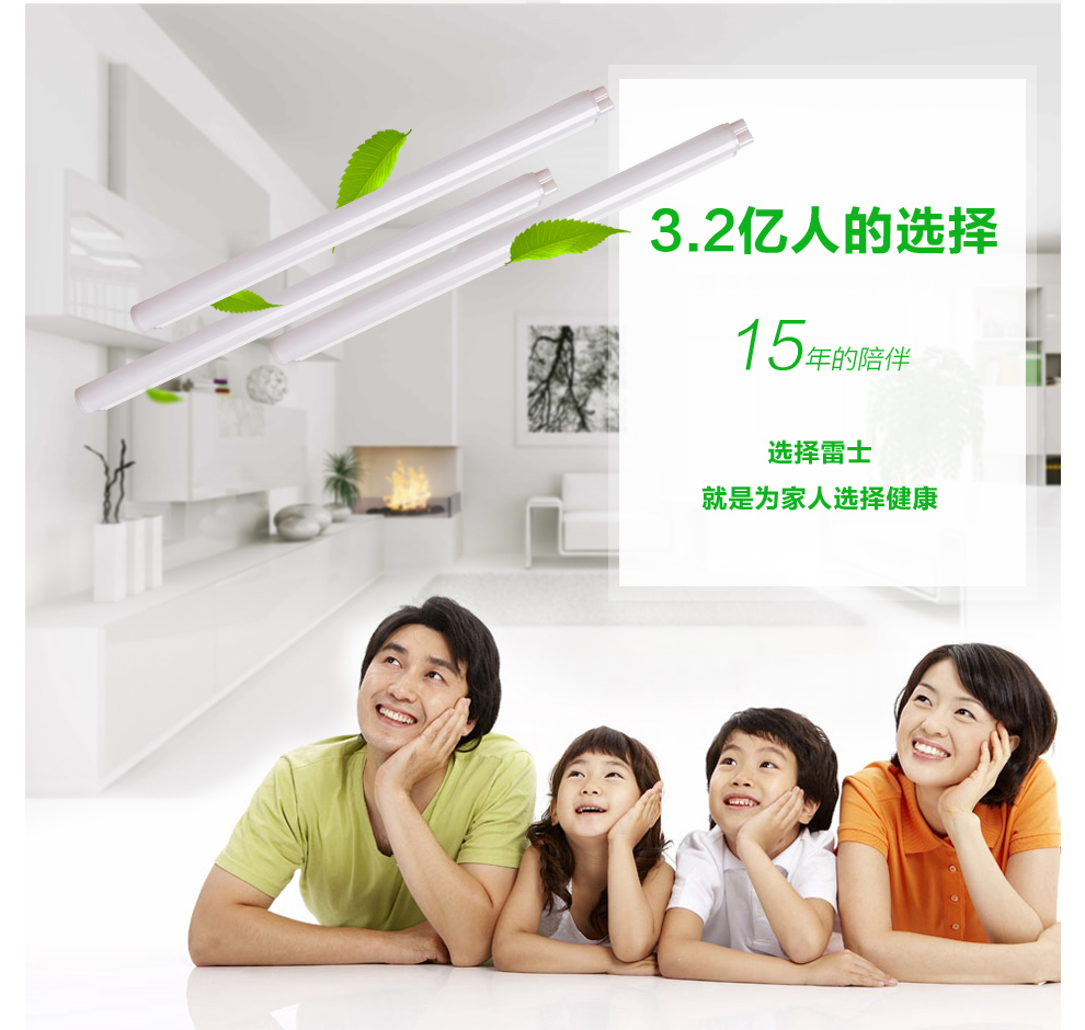 
                                        雷士（NVC） 雷士LED灯管T5led灯带一体化支架照明暖光管灯具T5灯管LED 4w 白光6500k/0.3米                