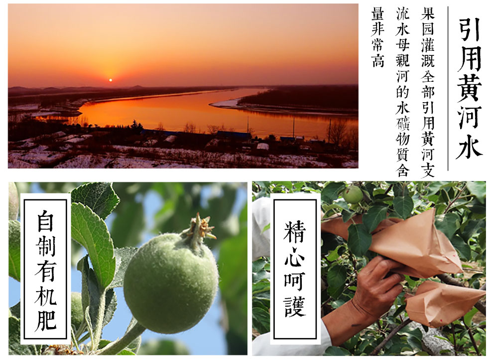 洛川有机苹果礼盒 团购 - 京东团购全国站