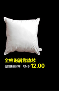 
                                        清沁 办公室抱枕 沙发抱枕芯 特价靠垫靠枕芯45 45 50 50 60 60 65 65 45cm*45cm                