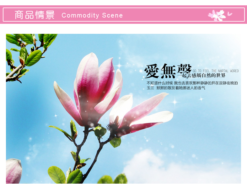 豆豆窝 客厅浪漫墙贴画 可移除贴纸 AY7105 玉兰花  50*70cm