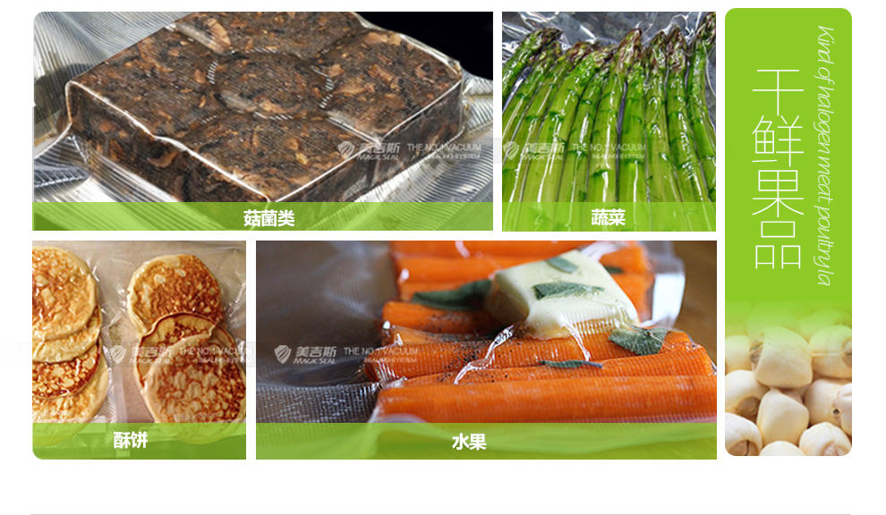 美吉斯WP300真空包装机塑封口机食品保鲜机茶叶家用小型抽真空机塑封机 15*25cm(5片袋)